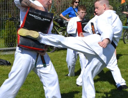 2023.04.23 – Pokaz karate na Pikniku Charytatywnym dla Kacperka