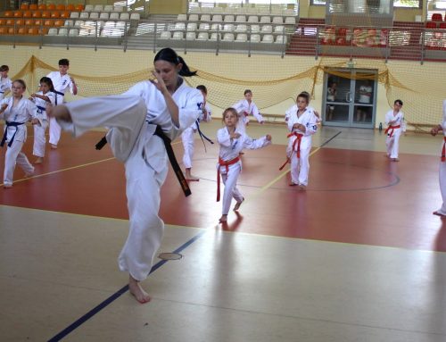 2026.06.21 – Egzamin na stopnie KYU