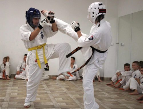 OBÓZ LETNI KARATE KYOKUSHIN OKUNIKA 2026